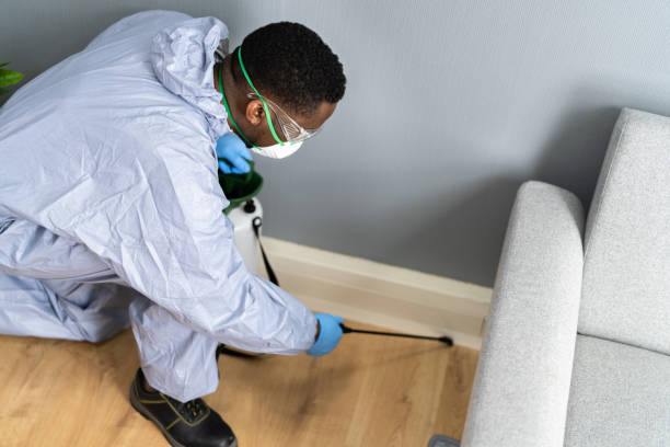 Best Residential Pest Control  in Beckett Ridge, OH